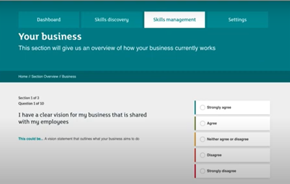 Screenshot of the Skills Management Tool.